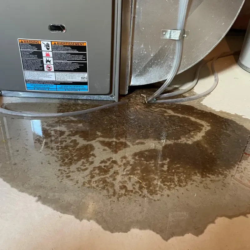 Appliance Leak Cleanup in Lamar County, AL